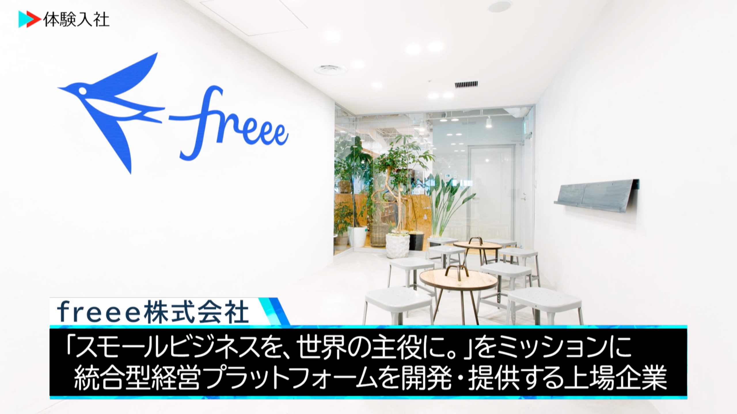 【体験入社】freee(フリー)株式会社会社情報