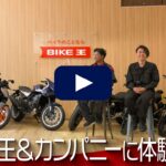 【動画の転職サイト「体験入社」】バイク王&カンパニーの転職・求人情報